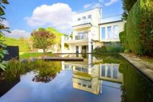 schwimmteich