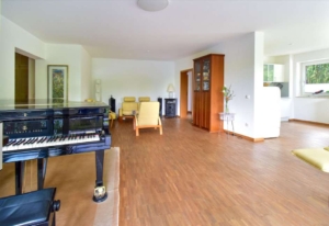 wohnzimmer/küche